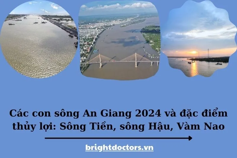Các con sông An Giang 2025 và đặc điểm thủy lợi: Sông Tiền, sông Hậu, Vàm Nao