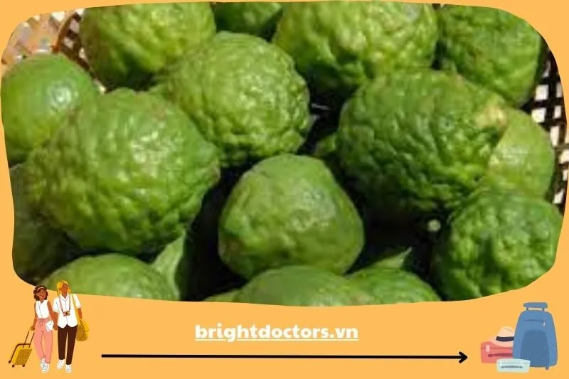 Quả trúc Thất Sơn