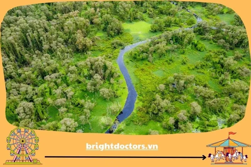 Rừng Tràm Trà Sư