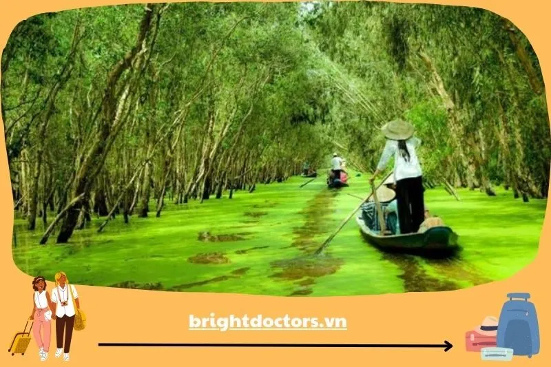 Rừng tràm Trà Sư