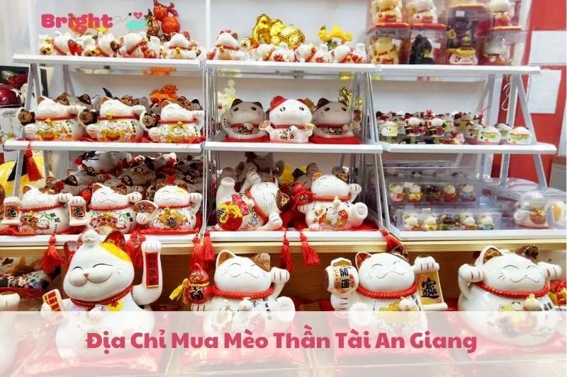 Địa Chỉ Mua Mèo Thần Tài An Giang 2025: Top 5 Cửa Hàng Uy Tín