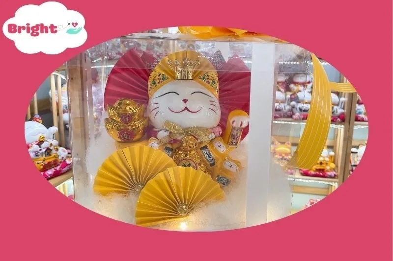 Địa Chỉ Mua Mèo Thần Tài An Giang - Mèo Thần Tài Long Xuyên