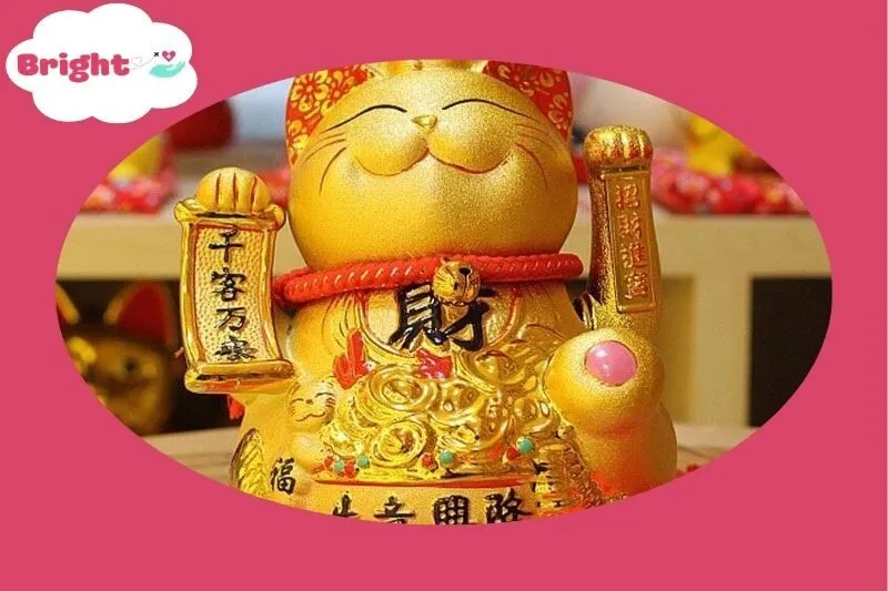 Địa Chỉ Mua Mèo Thần Tài An Giang - Phong Thủy Đăng Quang