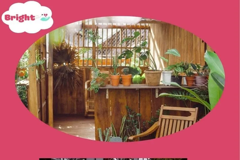 Quán Cà Phê Vintage An Giang - Cà Phê Cây Mận