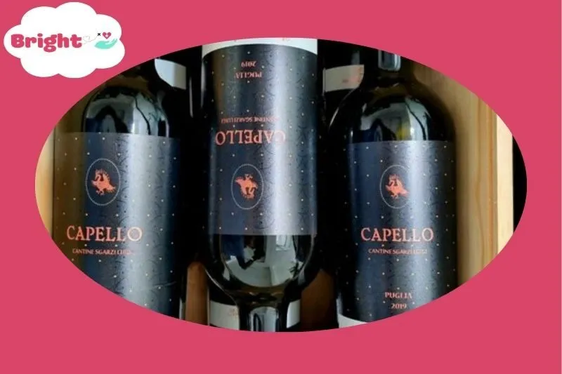 Vương Quốc Rượu Vang - địa chỉ mua rượu vang An Giang