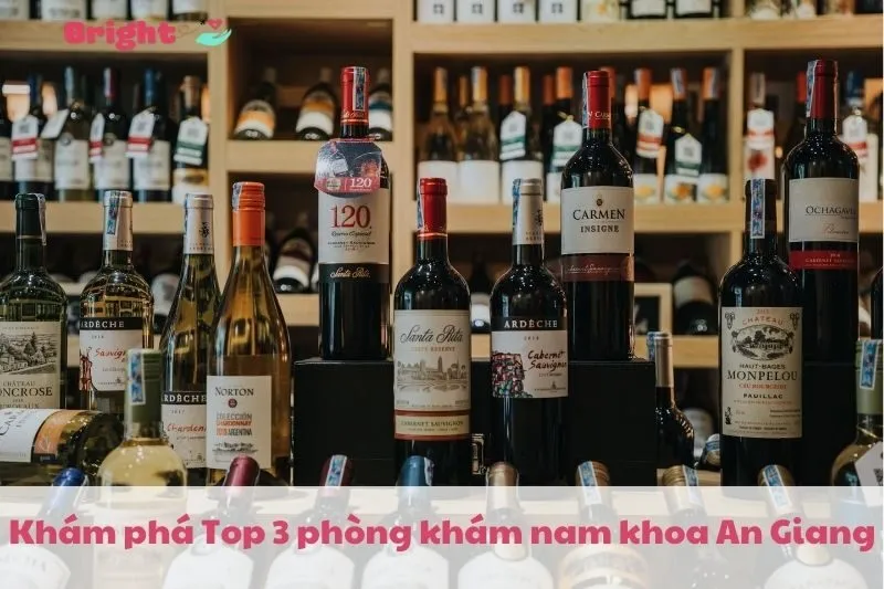 Top 5 Địa Chỉ Mua Rượu Vang An Giang 2025 Không Thể Bỏ Lỡ