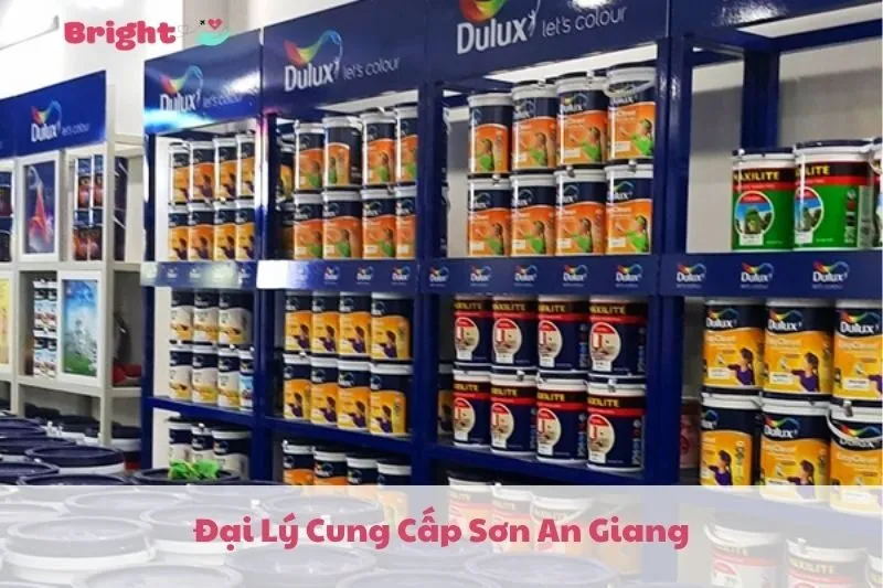 Đại Lý Cung Cấp Sơn An Giang 2025: Top 6 Địa Chỉ Nổi Bật và Dịch Vụ Chất Lượng - Bright Doctors