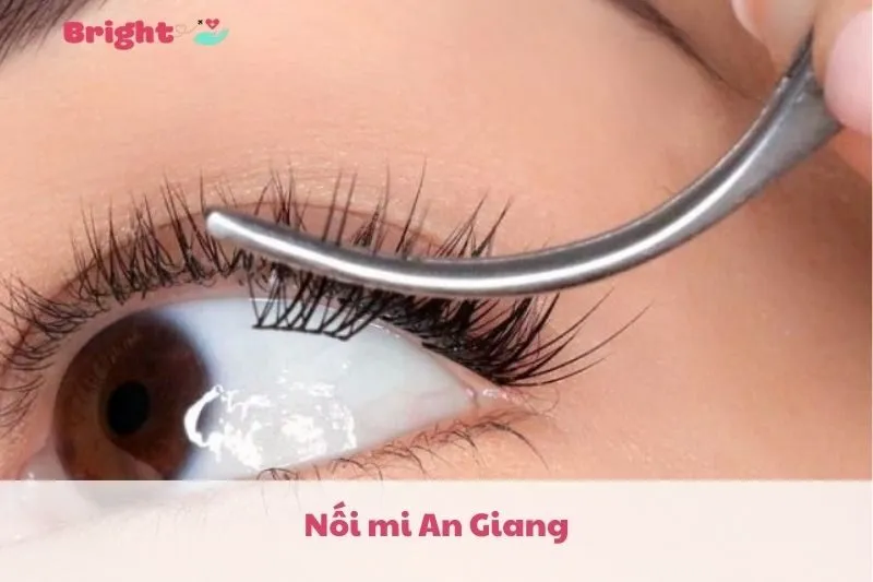 Nối mi An Giang 2025: Top 6 Địa chỉ uy tín tại Long Xuyên, Hướng dẫn chăm sóc mi