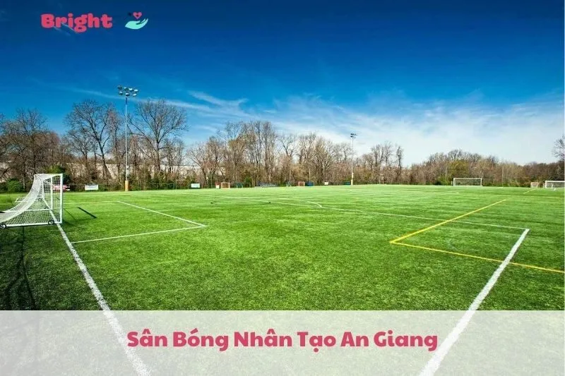 Sân Bóng Nhân Tạo An Giang 2025: Khám Phá Top 5 Sân Bóng Nổi Tiếng