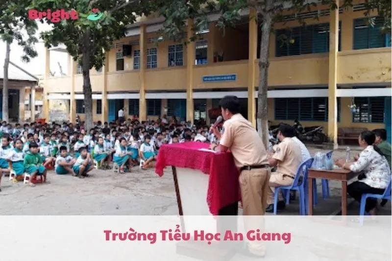 Top 7 Trường Tiểu Học An Giang 2025: Các Trường Chất Lượng Tại Long Xuyên | Bright Doctors